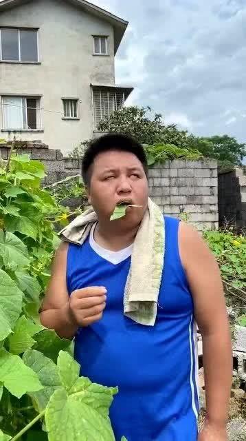 吃瓜选手叶子,揭秘吃瓜选手的瓜界传奇