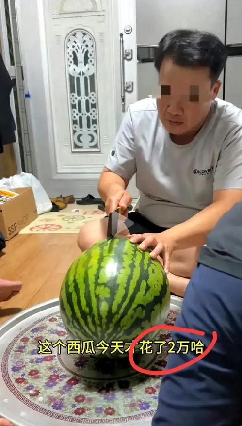 自己吃半个瓜,尽享夏日清凉