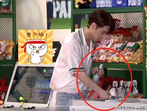 吃瓜路人在线吃瓜视频,吃瓜路人在线吃瓜，揭秘娱乐圈幕后故事