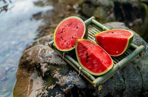 吃瓜 诗词,品味人生百态，笑谈世间繁华