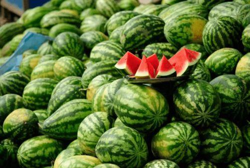 吃瓜直播钙圈,钙圈风云录