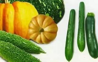 苏北吃瓜视频全集,揭秘乡村生活百态