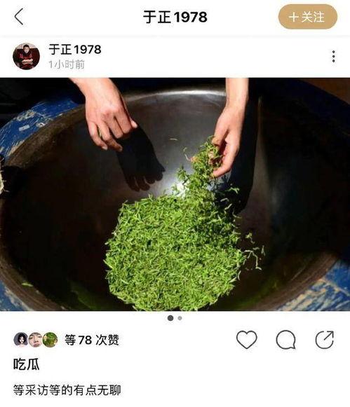 吃瓜捞什么什么意思