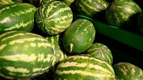 保定公园吃瓜事件,一场引发热议的公共冲突