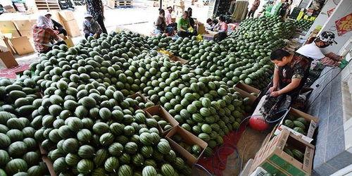 留各庄吃瓜,一场别开生面的吃瓜盛宴