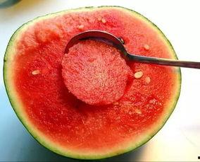 纯洁滴小龙吃瓜,揭秘娱乐圈那些不为人知的秘密