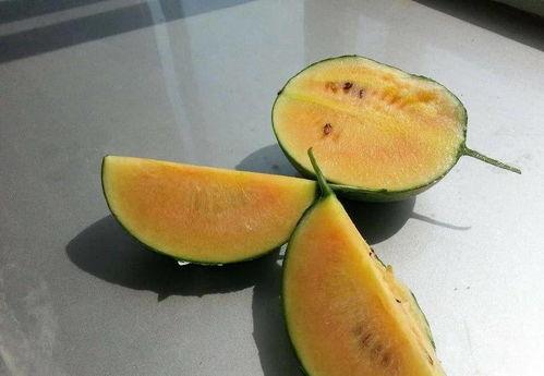 彩色吃瓜图片高清壁纸,高清壁纸中的夏日风情