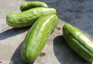 小脆瓜怎么吃,轻松解锁美味新体验