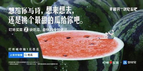 秋日吃瓜文案句子,品味秋天的甜蜜诱惑