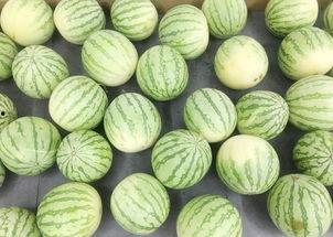 吃瓜真实国外,揭秘国际社会中的热点追踪与舆论风向