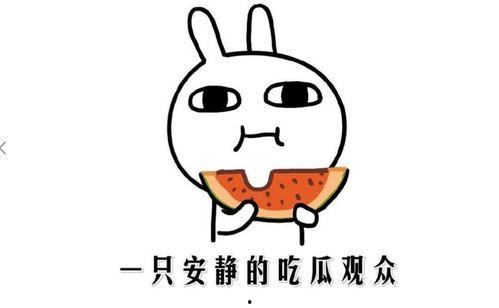 吃瓜有啥含义,网络热词背后的文化现象