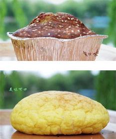 湖职吃瓜,揭秘校园“吃瓜”背后的故事