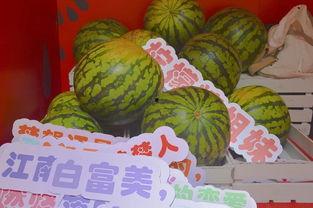 公园也可以吃瓜,夏日休闲新风尚