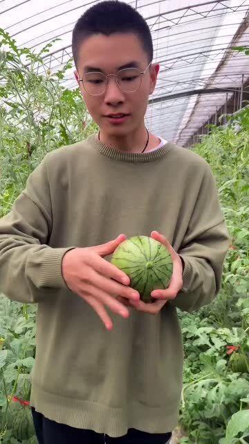 手剥瓜吃皮,品味自然之美