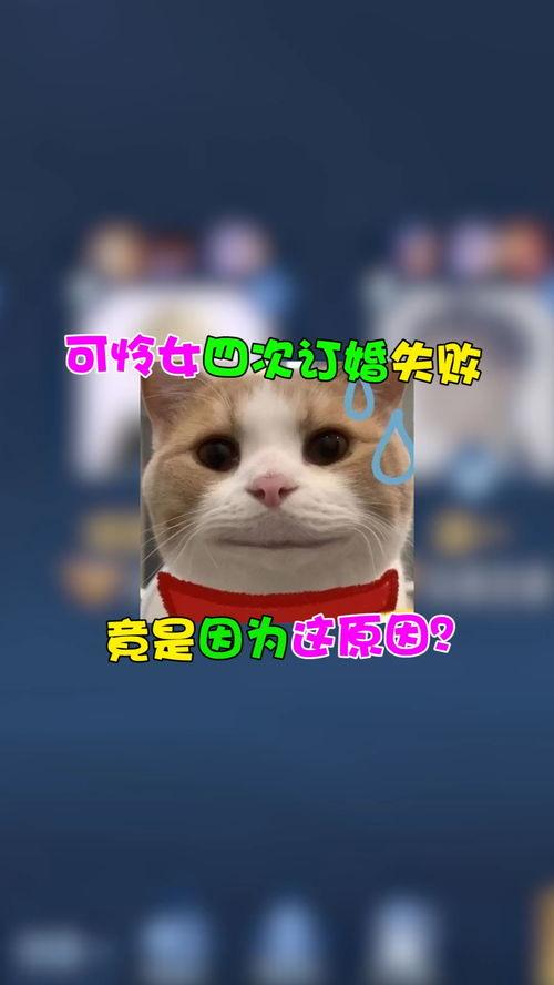 家人们吃瓜音效,揭秘娱乐圈幕后风云