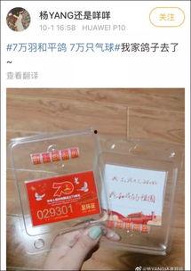 鸽子会不会吃小瓜,揭秘它们对小瓜的喜好之谜