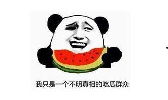 吃瓜到底什么关系,揭秘“吃瓜群众”背后的社会关系与网络现象