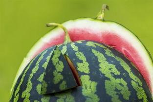 吃瓜比赛吃吐,挑战极限，吐出精彩瞬间