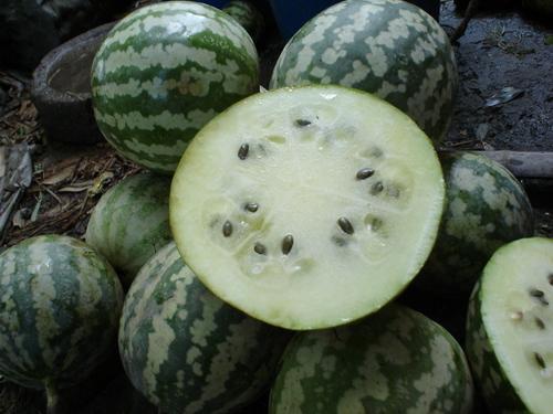 孕晚期吃绿宝瓜,营养美味，助力母婴健康