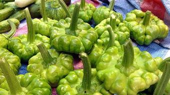 孕妇可以吃瓜叶吗,瓜叶的适宜与禁忌