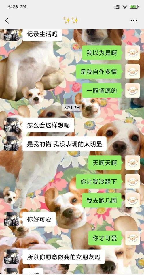 别人吃狗粮我吃瓜,见证甜蜜与八卦的碰撞