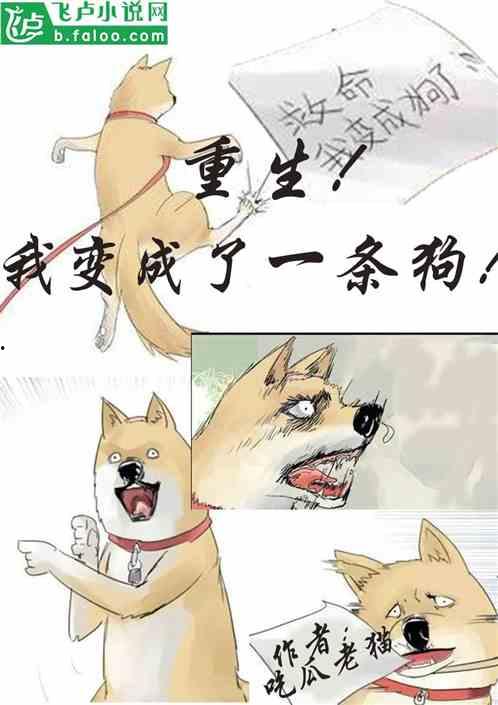 吃瓜遭殃了小说,一场意外引发的悬疑风云