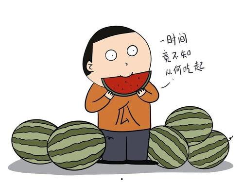 吃瓜的英文单词,揭秘“Eating Watermelon”背后的吃瓜文化