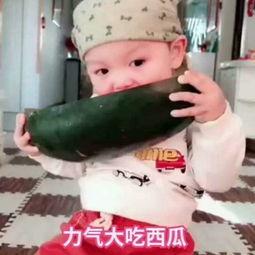 小孩怎么吃瓜视频,小朋友们的快乐吃瓜时光