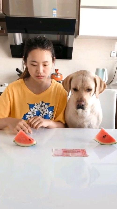 近期热门吃瓜大赛,近期热门事件盘点，揭秘娱乐圈幕后真相