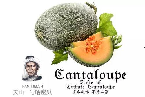 吃瓜号推文,揭秘吃瓜号热门推文背后的热点事件