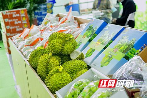 长沙网络吃瓜视频,揭秘城市生活趣味瞬间