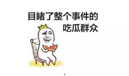 吃瓜不迷路,不迷路，轻松掌握娱乐圈动态