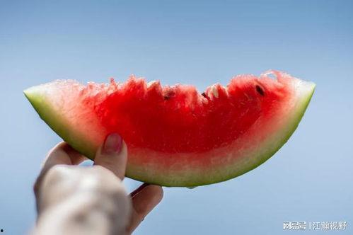 瓜州 吃瓜不要钱,畅享免费“吃瓜”盛宴