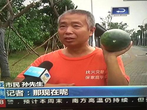 东北教练吃瓜事件,一场校园事件的舆论发酵与反思