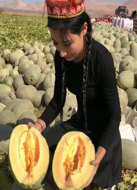 新疆吃瓜美女视频,展现民族风情与美食魅力