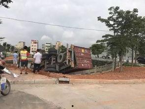 雄县新城吃瓜事件,一场网络热议背后的真相与反思